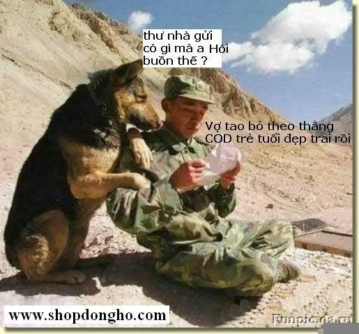 hd24h.hexat.com