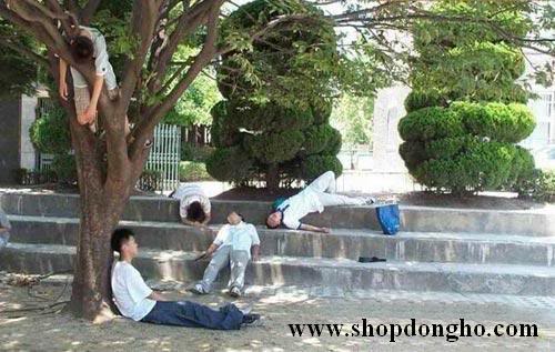 hd24h.hexat.com